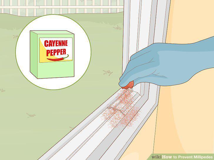 Step 14