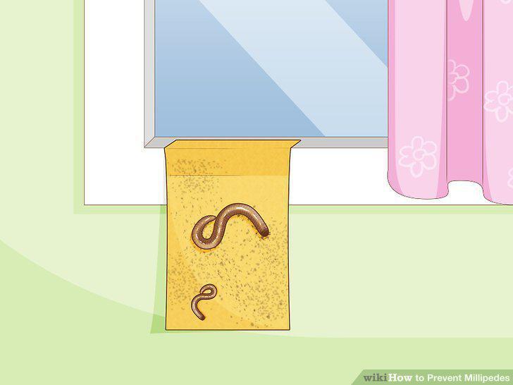 Step 15