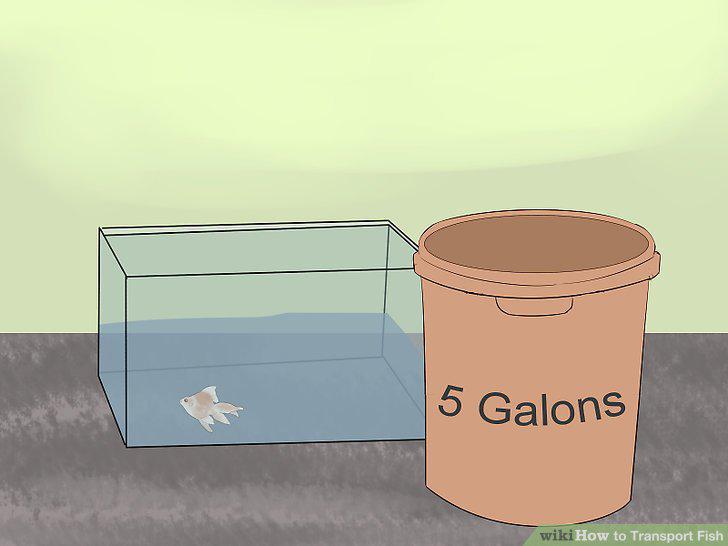 Step 11
