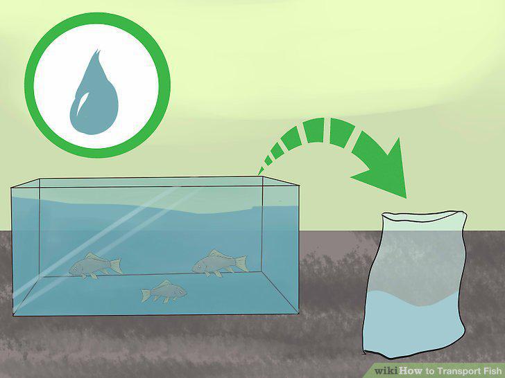 Step 13