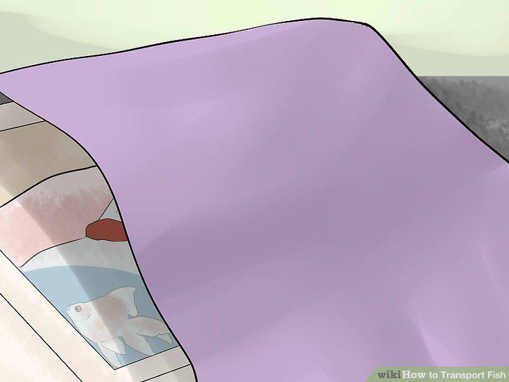 Step 16
