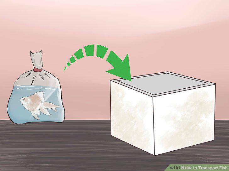 Step 8
