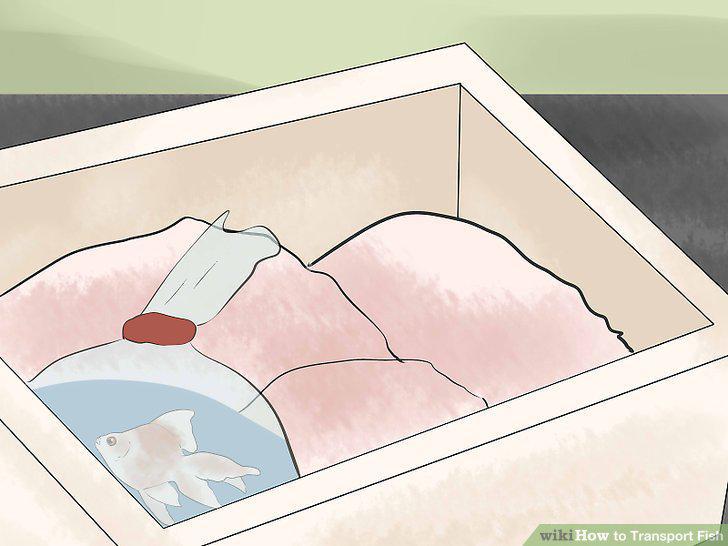 Step 10