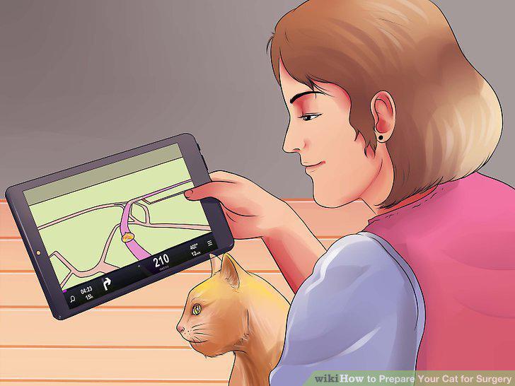 Step 11