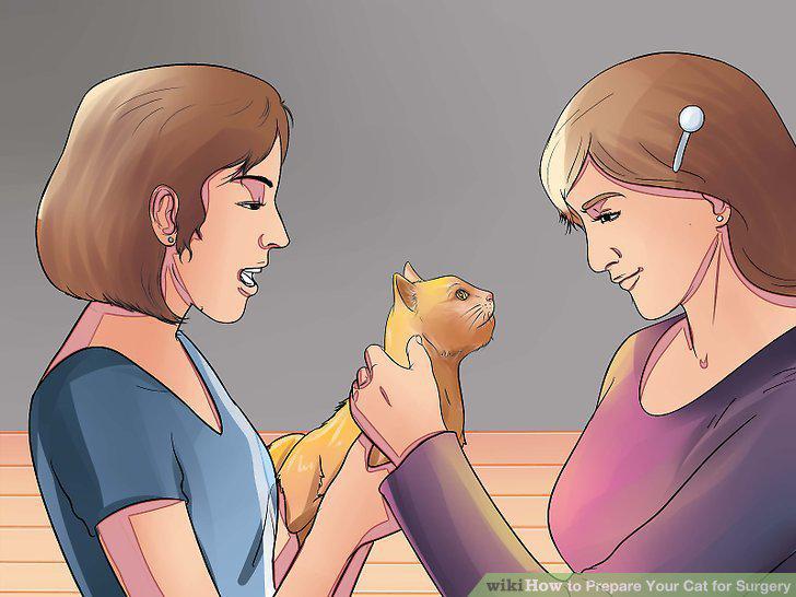 Step 12