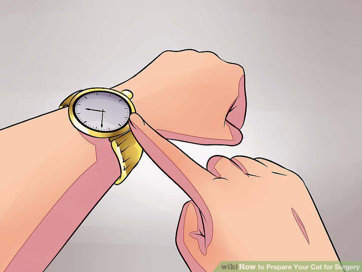 Step 13