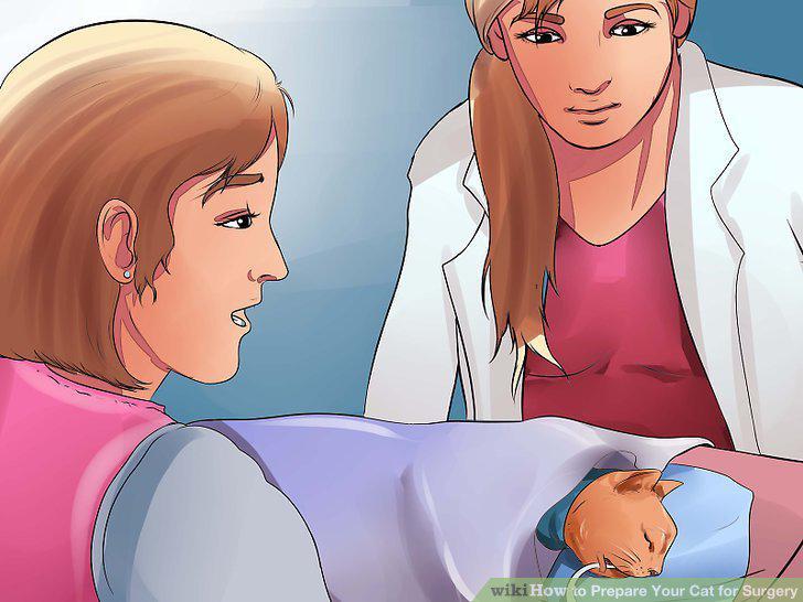 Step 14