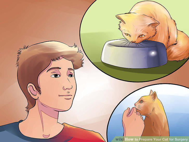 Step 15