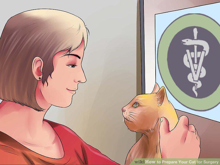 Step 16