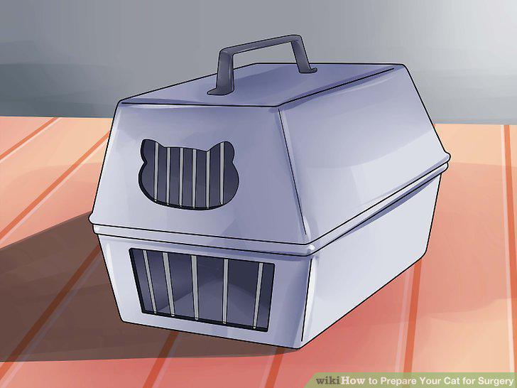 Step 6