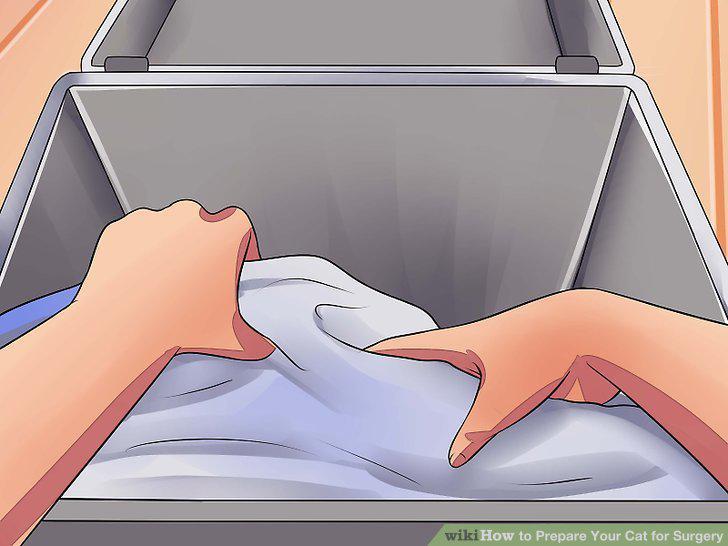 Step 8