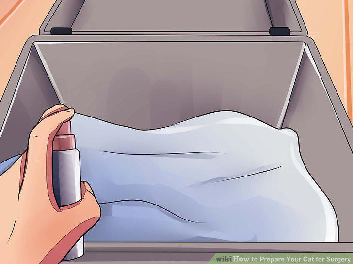 Step 9