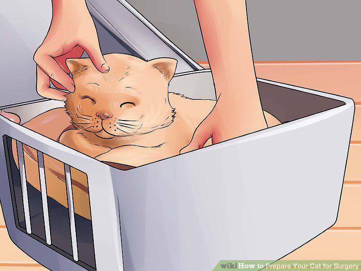 Step 10