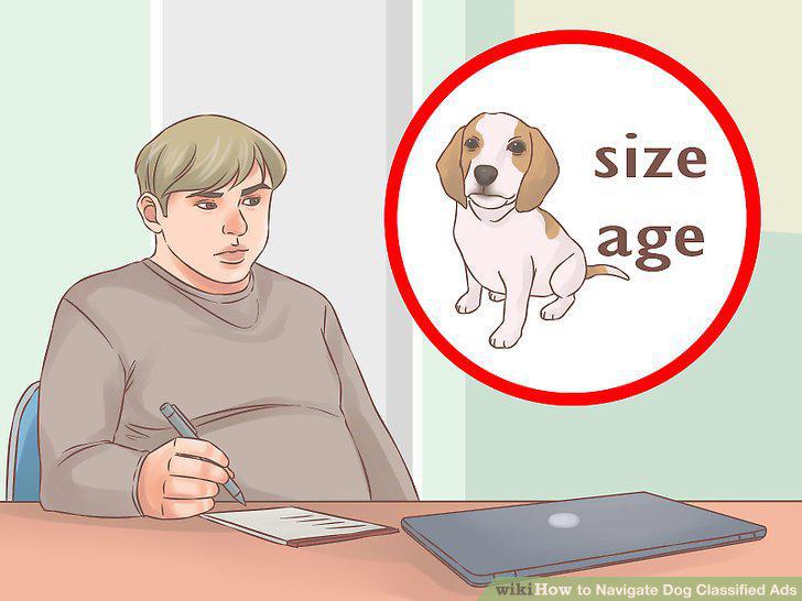 Step 10