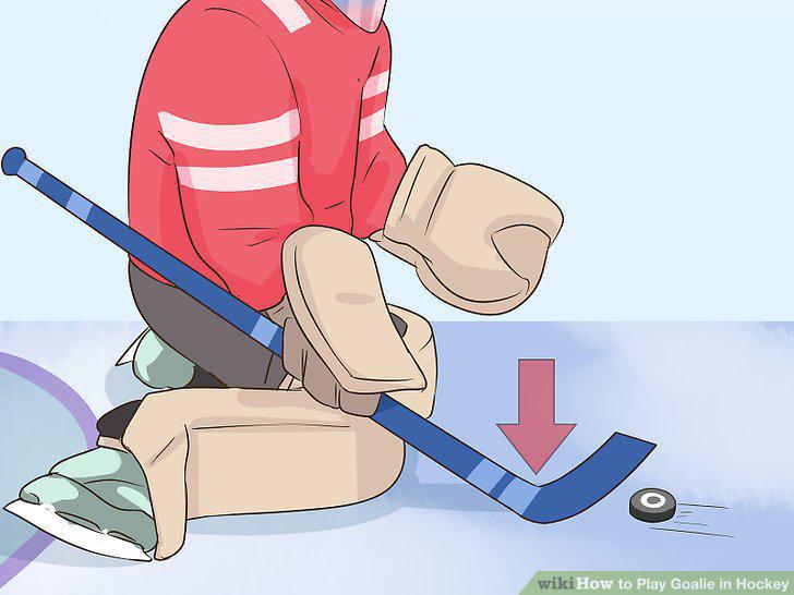 Step 12