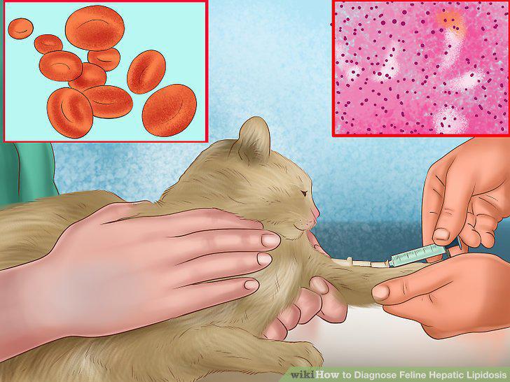 Step 10