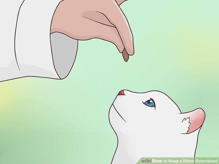 Step 11