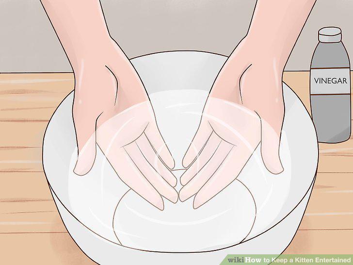 Step 12