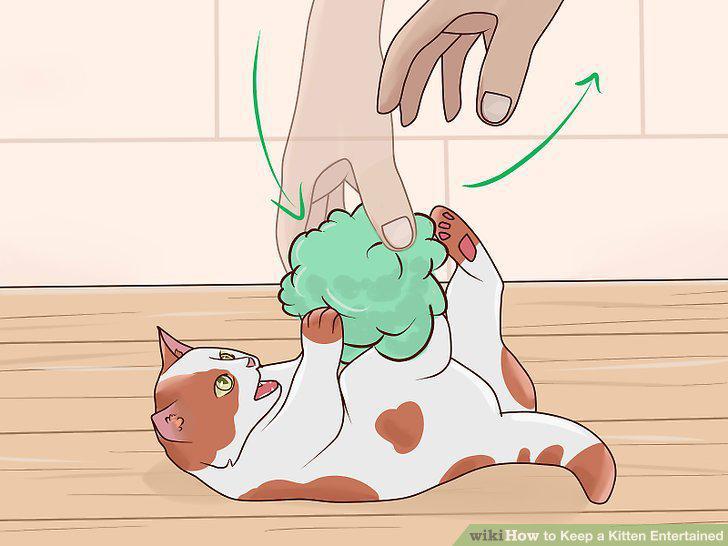 Step 9