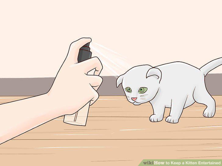 Step 10