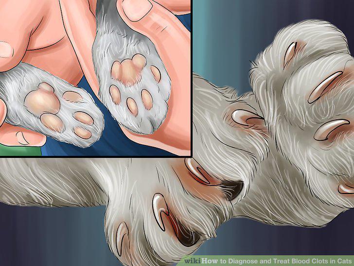 Step 2