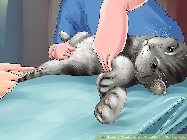 Step 11