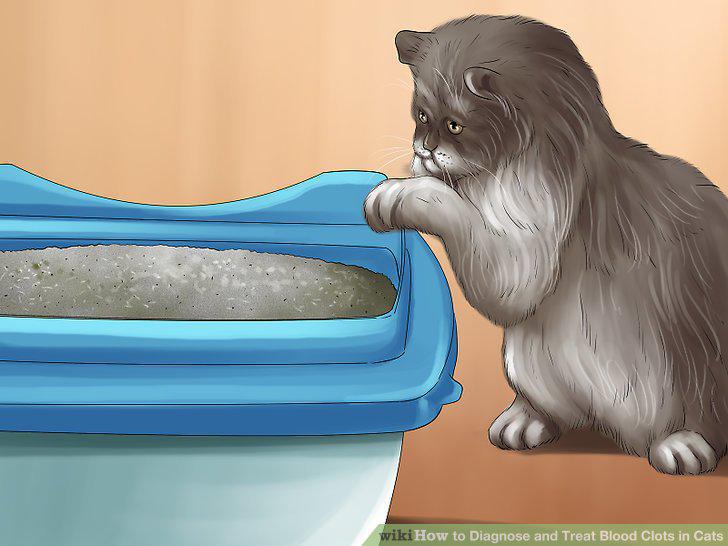 Step 10