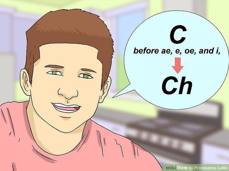 Step 15