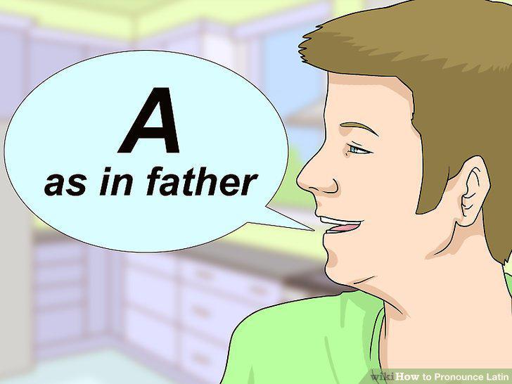 Step 16