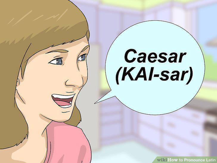 Step 10