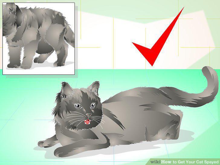 Step 2