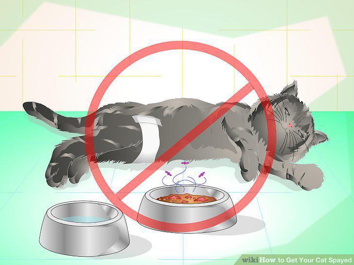 Step 13