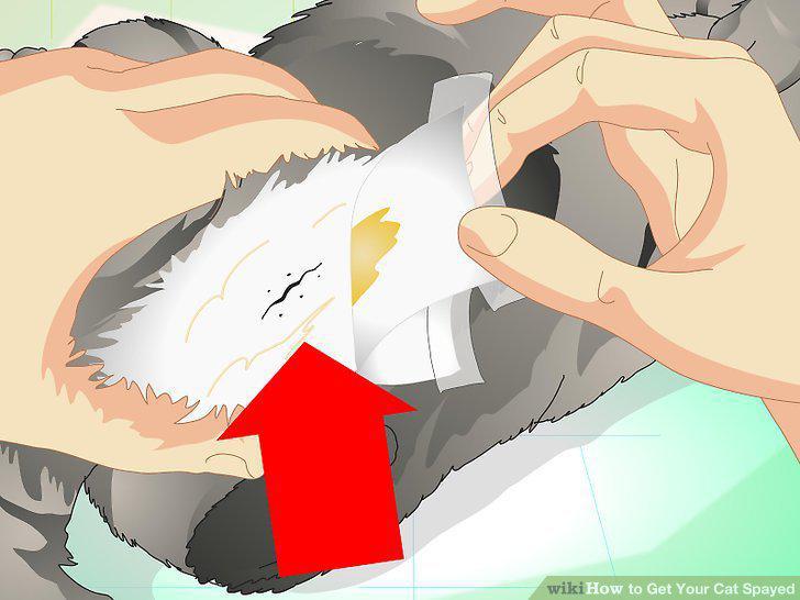 Step 15