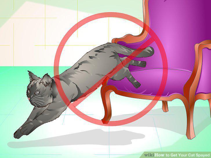 Step 16