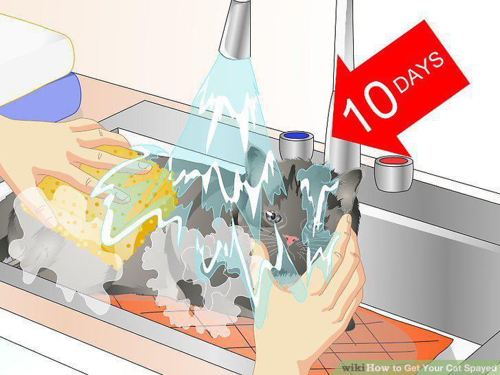 Step 18