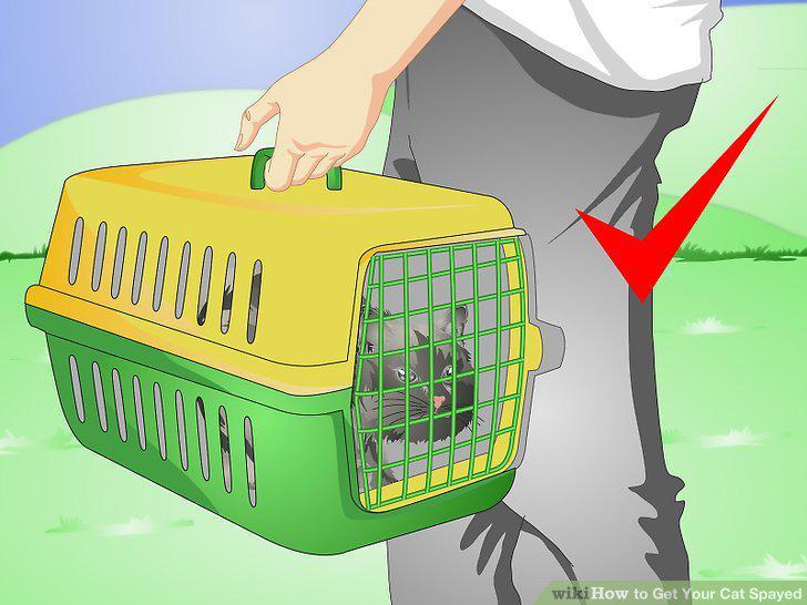 Step 8