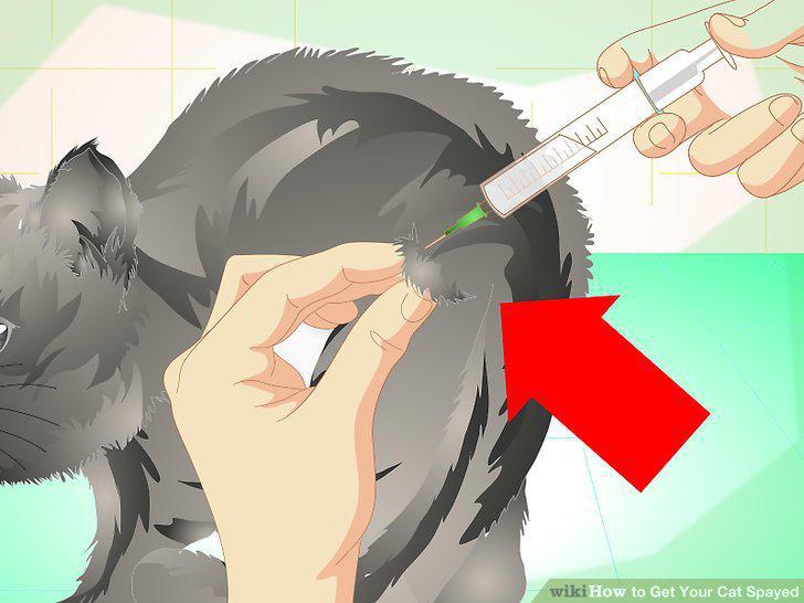 Step 9
