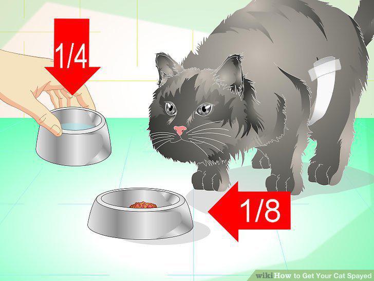 Step 10