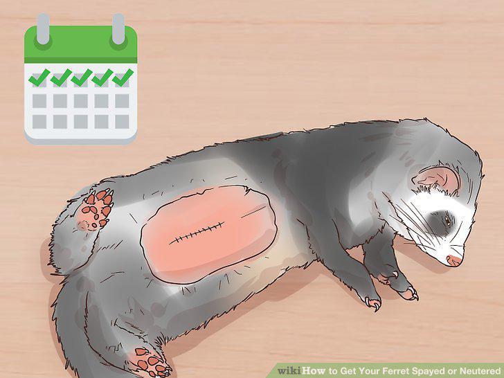 Step 11