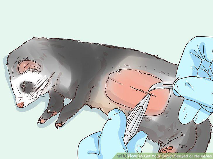 Step 13