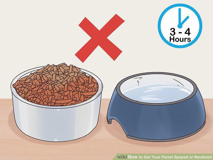 Step 5