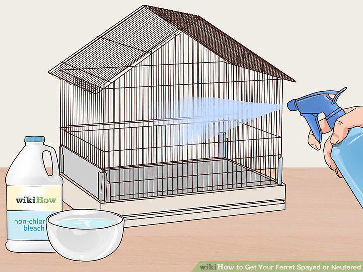 Step 10