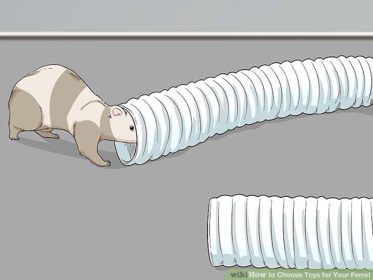 Step 6
