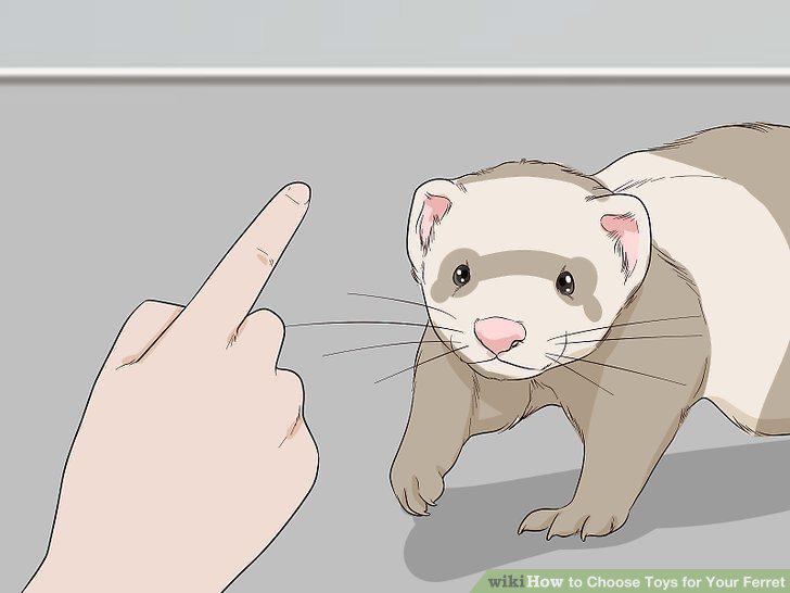 Step 10