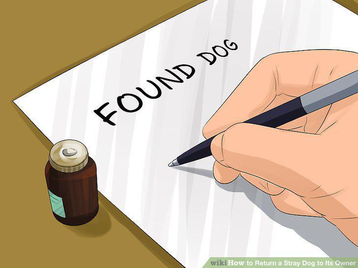 Step 12