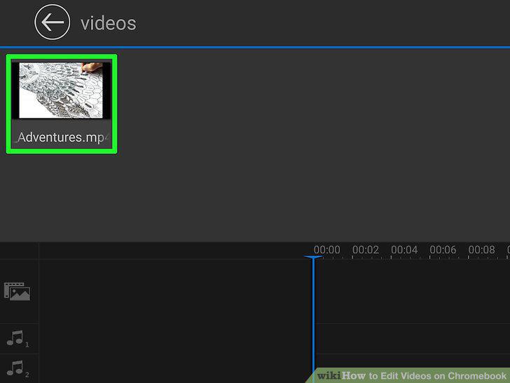 Step 12