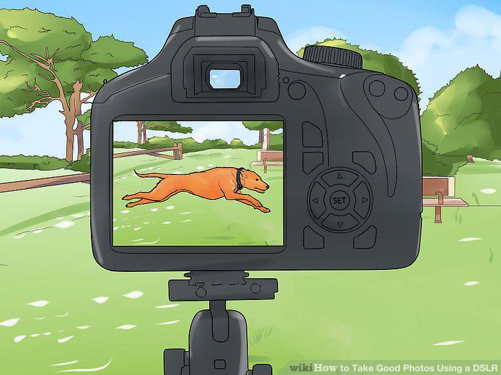 Step 11