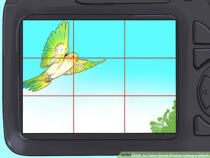 Step 8