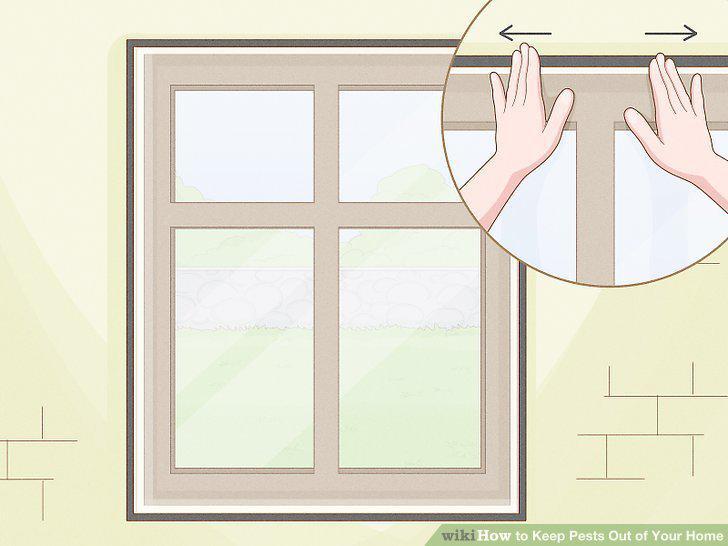 Step 11