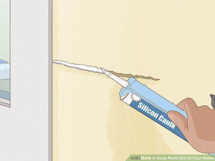 Step 12